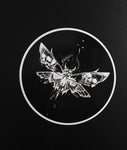 DEATH MOTH STICKERS - FREE SHIPPING